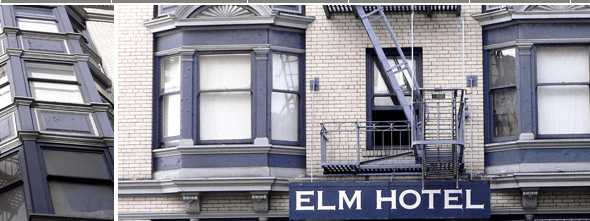 ECS - The Elm